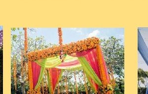 Greenery Wall with Marigold Swags - Rajasthan Event Management
