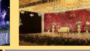Reception Floral Wall Stage - Rajasthan Event Management