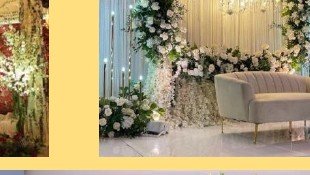 Greenery Arch Stage - Rajasthan Event Management